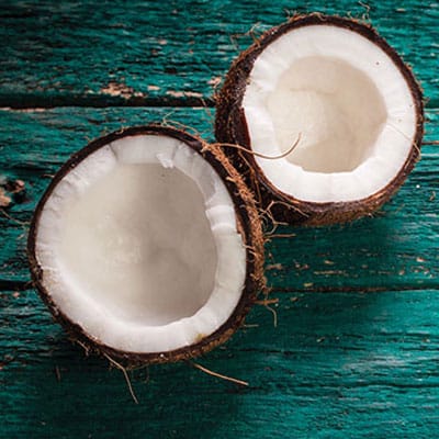 Coconuts Coconuts