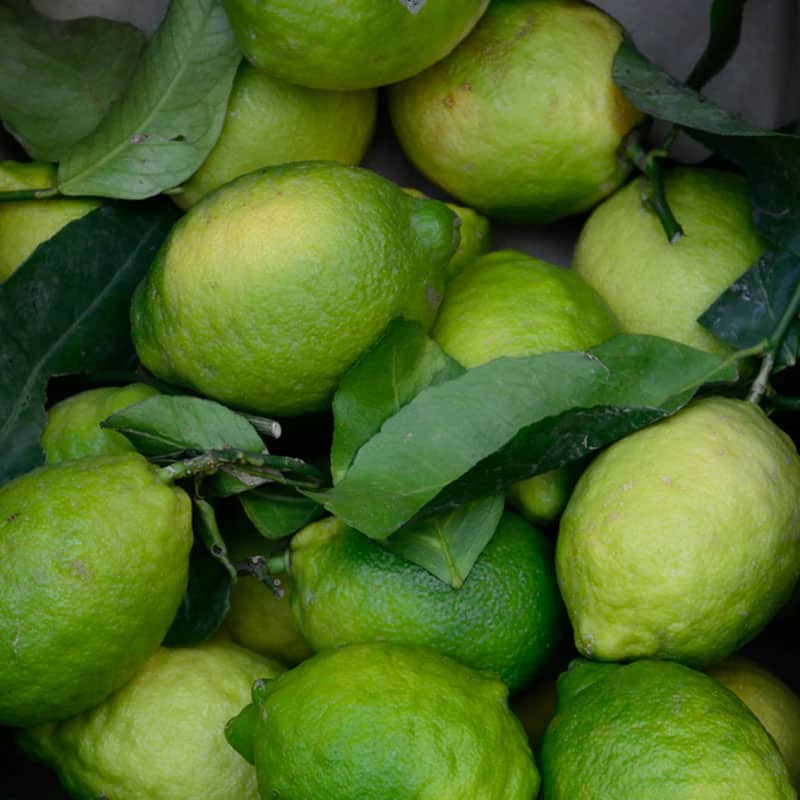 Limes Limes